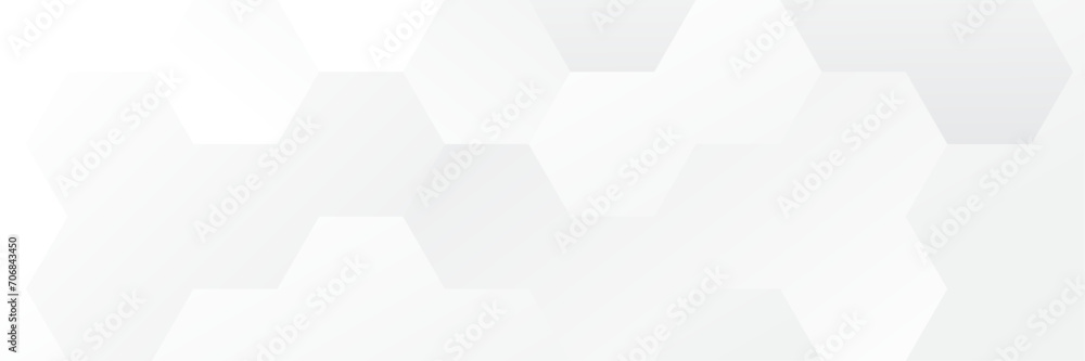Fototapeta premium Abstract white Geometric banner design background.