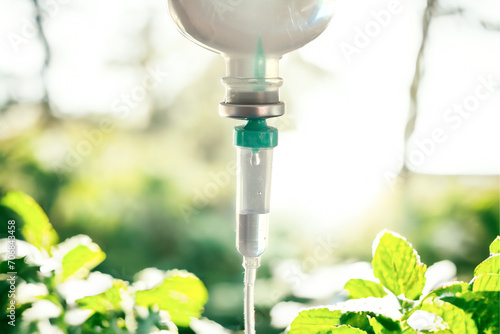  Green plant Natural vitamin nutrient iv drip therapy drug treatment concept.