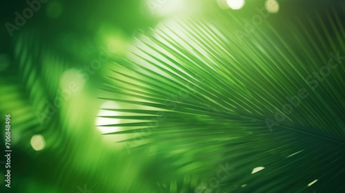 A detailed close-up of a green palm leaf with soft lighting emphasizing its texture.