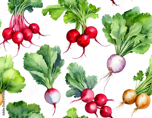 Watercolor painting of radish