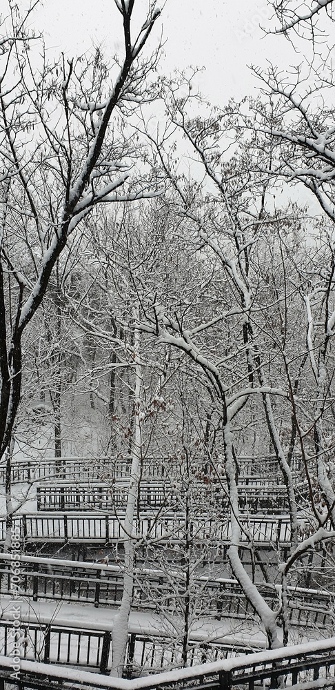 하얀 눈 내리는 겨울 산책로, 아름다운 설경, 서울 봉화산 겨울 풍경 - winter road, snowy winter tree & winter scenery 하얀 눈 내리는 겨울 산책로, 아름다운 설경, 서울 봉화산 겨울 풍경 - winter road, snowy winter tree & winter scenery