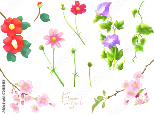 花の素材セット（季節の花）