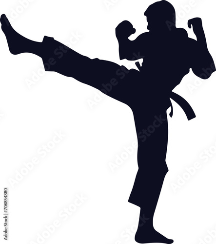 Taekwondo martial arts man silhouette