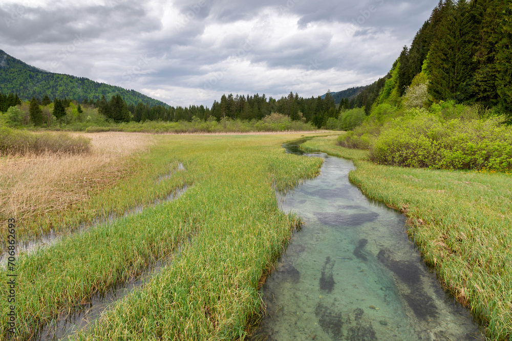 Spring landscape of a clear river and mountains. Nature Reserve Zelenci, krajnska gora, Slovenia, Europe