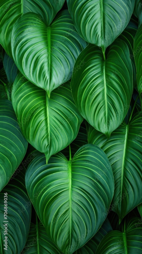 Close Up of Lush Green Leafy Plant in Vivid Detail. Ecology wallpaper or background. Close Up of Lush Green Leafy Plant in Vivid Detail. Ecology wallpaper or background.