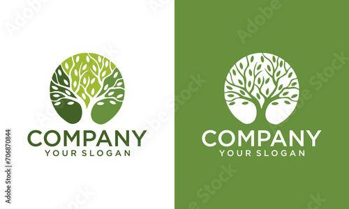 Circle Tree vector logo this beautiful tree is a symbol of life  beauty  growth  strength  and good health.