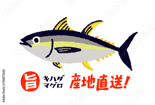 キハダマグロの手描きイラスト