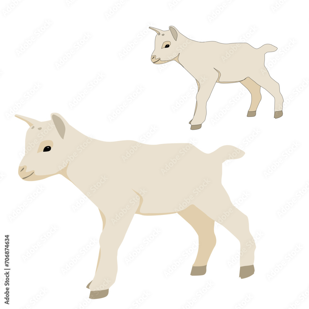 Vector white baby goat standing isolated on white background
