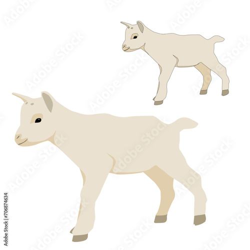 Vector white baby goat standing isolated on white background