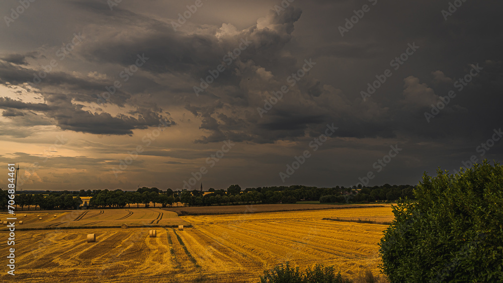 Fototapeta premium Ein Sonnenaufgang über einem Feld.