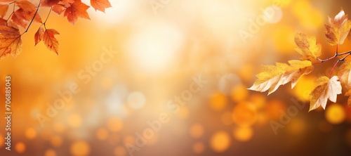 Autumn background with bokeh. Beautiful orange leaves and blurred background.