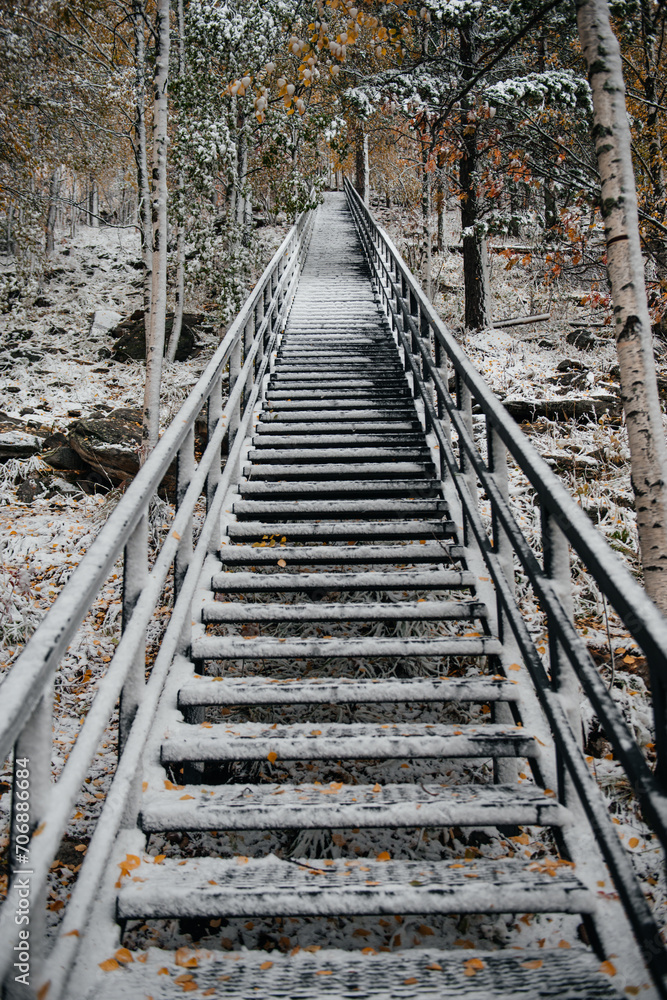 a staircase in the autumn forest swept by snow