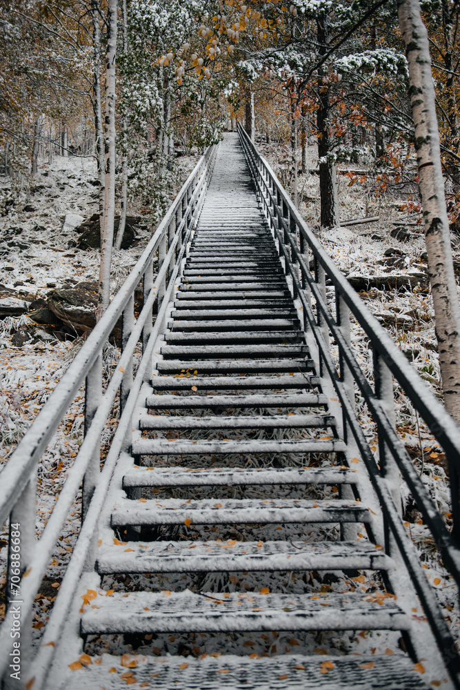 a staircase in the autumn forest swept by snow a staircase in the autumn forest swept by snow