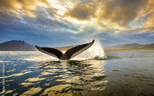 Walfisch Heckflosse ragt aus dem Meer, KI generiert © Juergen Wiesler