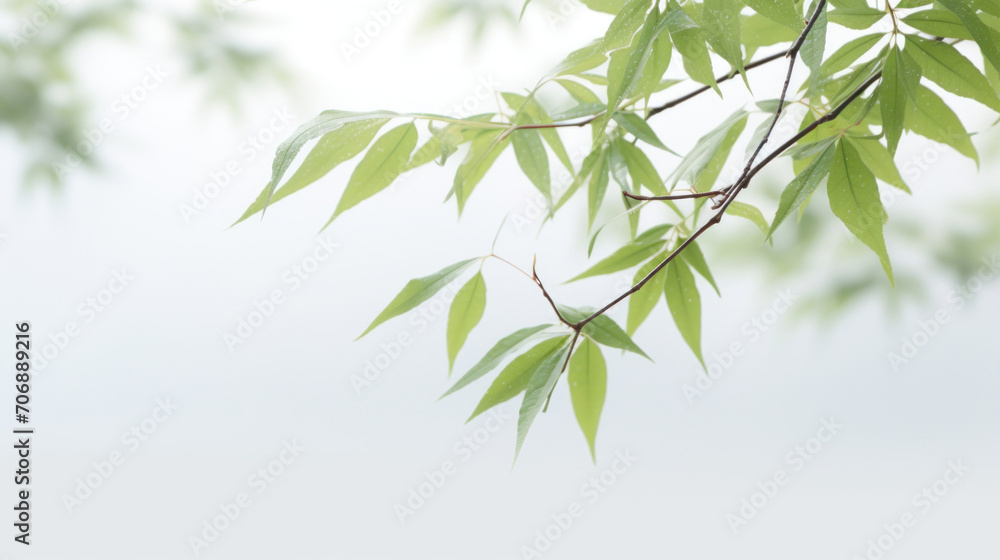 A serene branch with fresh green leaves, dotted with raindrops against a soft, misty background.