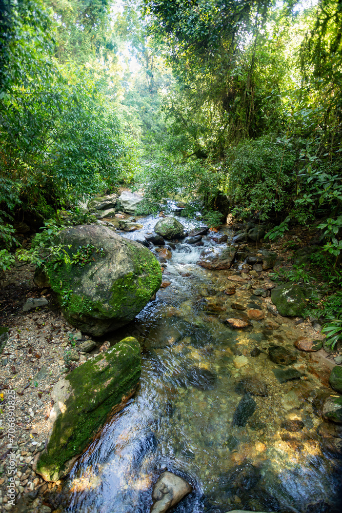 Small river in jungle. Hard trek to hidden ancient ruins of Tayrona civilization Ciudad Perdida in Colombian jungle. Santa Marta, Sierra Nevada mountains, Colombia wilderness landscape. Small river in jungle. Hard trek to hidden ancient ruins of Tayrona civilization Ciudad Perdida in Colombian jungle. Santa Marta, Sierra Nevada mountains, Colombia wilderness landscape.