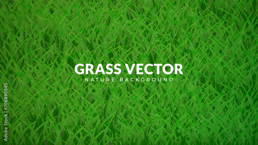 Green grass background texture. Eps file vector design