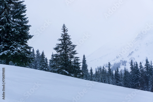 Mountains in winter time. Ukraine, Carpathians.