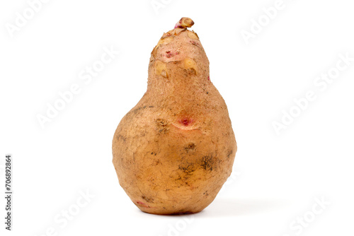 A potato tuber with an original shape, similar to a person. Potato tuber on white background. photo