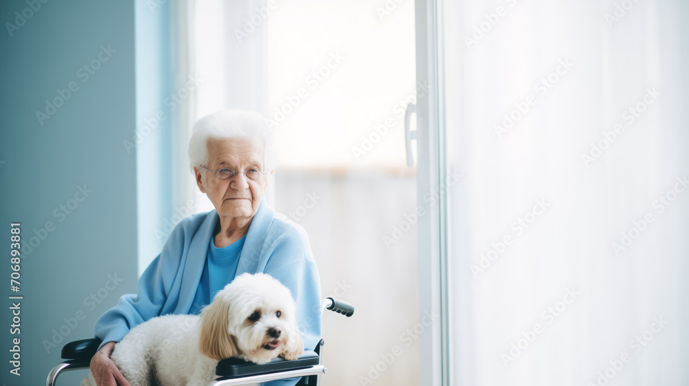 Lonely sad elderly senior woman in wheelchair in nursing home looking out window with pet dog. Concept friendship animal and people. Lonely sad elderly senior woman in wheelchair in nursing home looking out window with pet dog. Concept friendship animal and people.