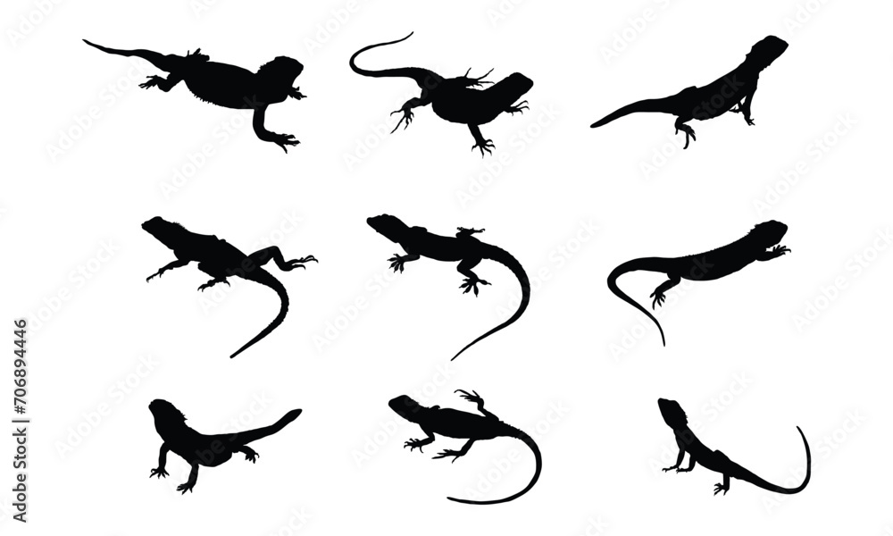 Lizard SVG Graphic Design Lizard SVG Graphic Design
