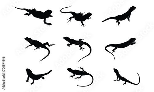 Lizard SVG Graphic Design