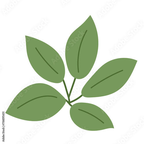 Leaf plant element for beautiful design. Simple form. Vector drawing.