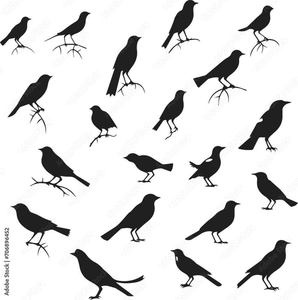 Set of black birds silhouette on white background Set of black birds silhouette on white background