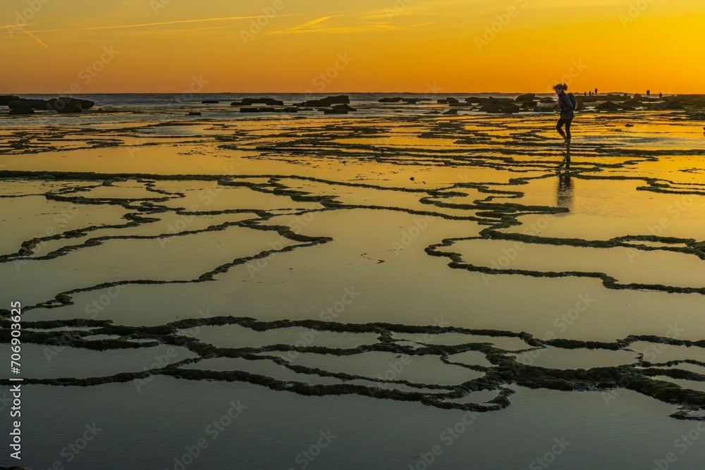 Naklejka premium Fractals on the Trafalgar coast in the Meca pipes of Cadiz - Spain.
