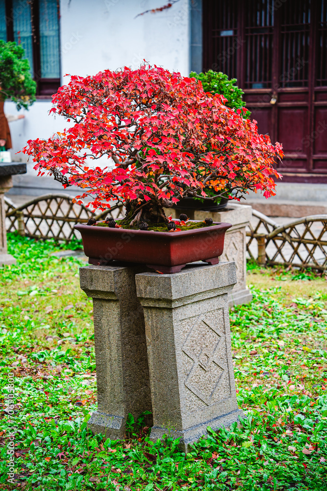 Suzhou, China: Humble's administrator Garden