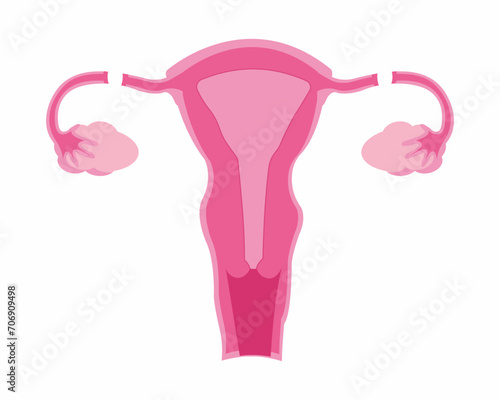Female sterilization procedures vasectomy and tubal ligation healthcare and birth control vector illustration.