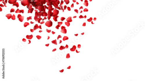 falling red valentines rose petals on transparent isolated png background photo