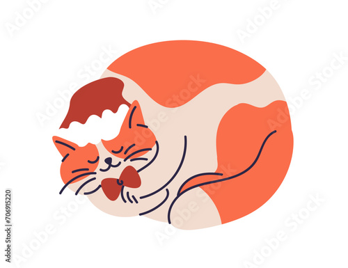 Cute cat sleeping in santa hat. Funny pet curled up, dreaming on winter holid...