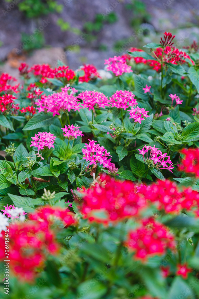 A park full of beautiful flowers in Nara Prefecture【Umamikyuryo Park】 A park full of beautiful flowers in Nara Prefecture【Umamikyuryo Park】