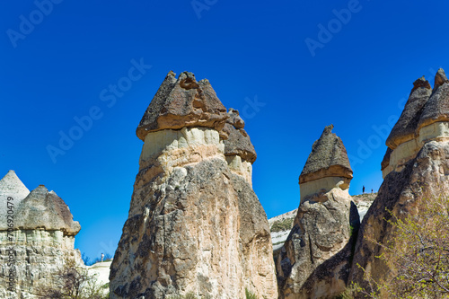 Obraz na płótnie Cappadocia landscape soft volcanic rock, shaped by erosion into towers. w salonie