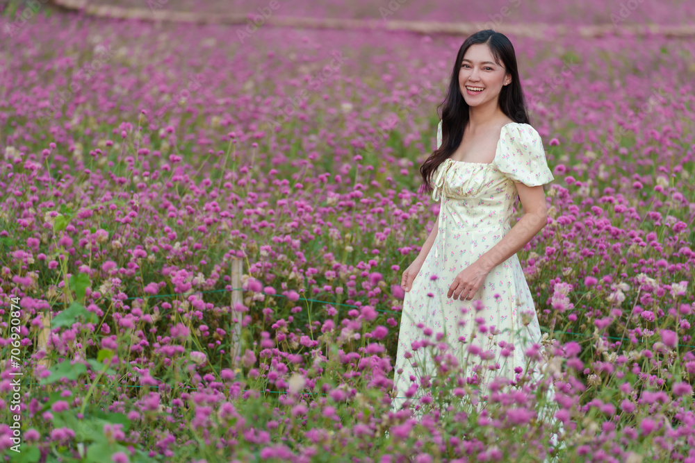 beautiful woman in dress enjoying blooming pink globe amaranth or bachelor button field beautiful woman in dress enjoying blooming pink globe amaranth or bachelor button field