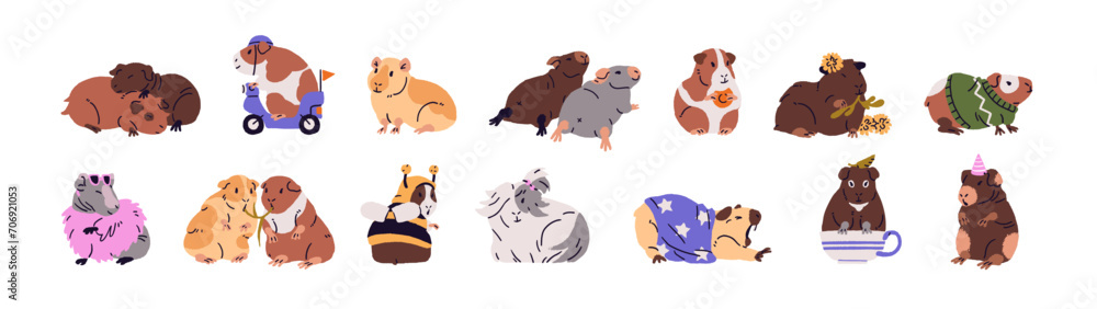Different guinea pigs set. Cute domestic cavies posing in fashion clothes. Funny rodent couple hugs, rest. Small fluffy animals, amusing pet eating, yawns. Flat isolated vector illustration on white Different guinea pigs set. Cute domestic cavies posing in fashion clothes. Funny rodent couple hugs, rest. Small fluffy animals, amusing pet eating, yawns. Flat isolated vector illustration on white
