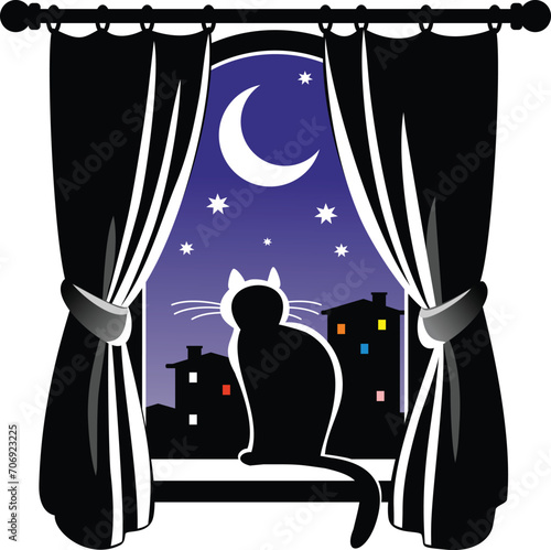 Silhouette of a cat in the window against the night sky.