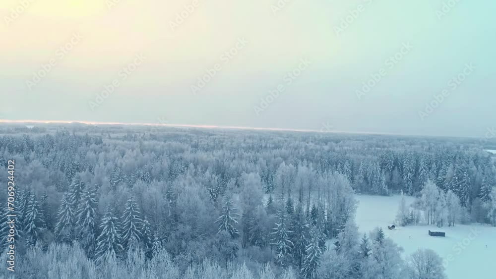 Wonderful full winter frozen forest snowy tree beautiful nature cold landscape Wonderful full winter frozen forest snowy tree beautiful nature cold landscape