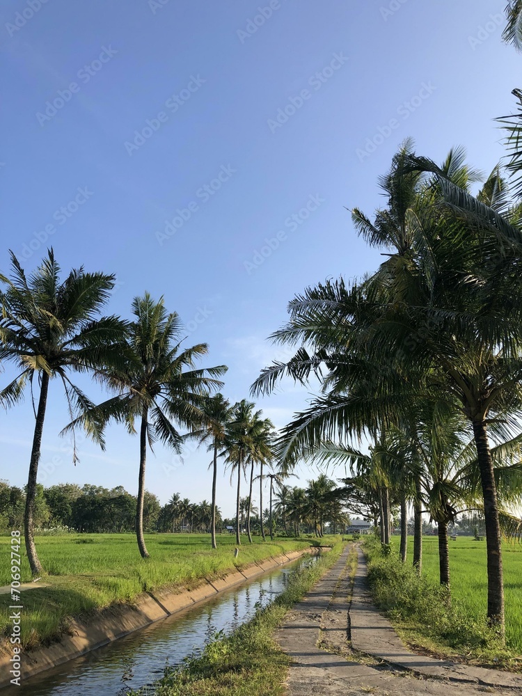 Captivating rural landscape with lush green paddy fields, coconut trees, and crystal-clear stream. Serene countryside beauty