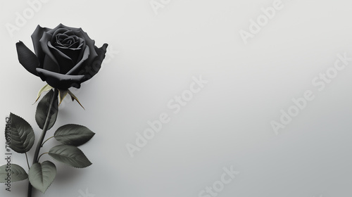 Minimalist Sympathy Condolences card. Black rose on a muted grey background. Funeral concept. Copy space