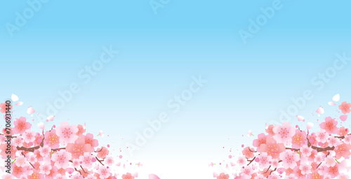 春の桜の花びら背景