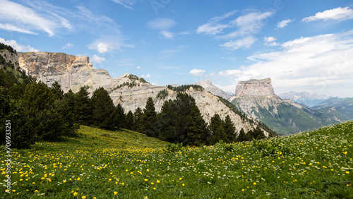 Floral mountain landscape with Mont Aiguille in the background
