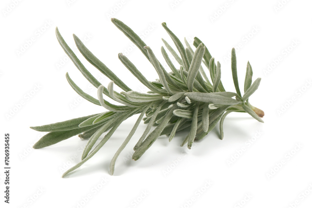 Lavender twig spice, isolated on white background. Lavender twig spice, isolated on white background.