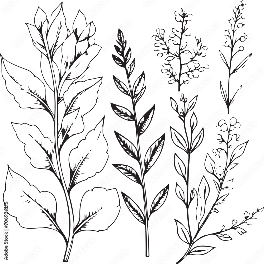 Fototapeta premium decorative floral collection sketch design generative ai
