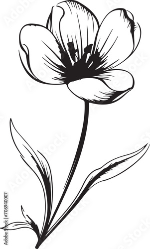 hand drawn simple flower outline illustration generative ai