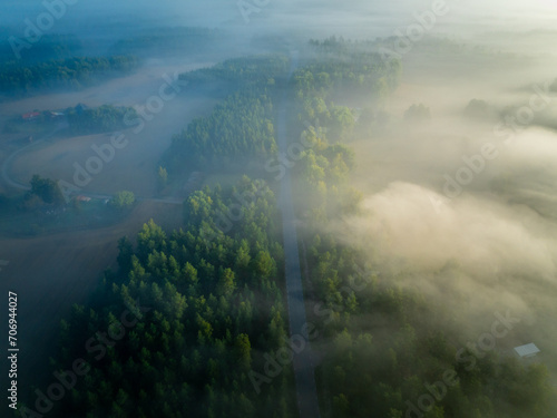 Serenity in the Pines: Aerial Sunrise Over Enchanting Swedish Forest with Mystical Morning Mist" (ID: 706944027)