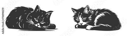 Detailed cat sleeping silhouette. Vector illustration