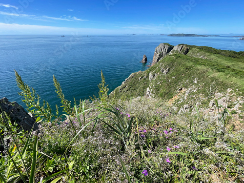 Obraz na płótnie The beautiful Southeastern coast of the island of Shkota in August in sunny weather. Russia, Vladivostok city w salonie