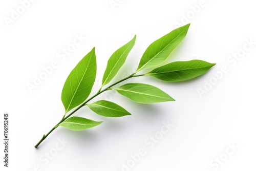 On a white background, a green tea leaf. Generative Ai.